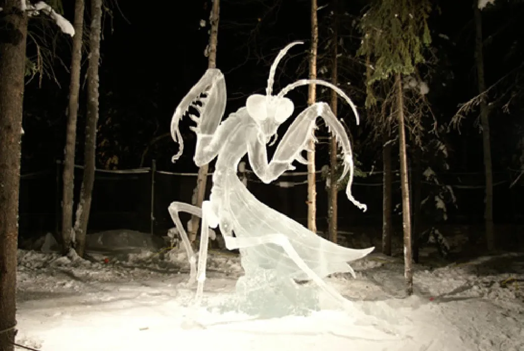 Огромный богомол.