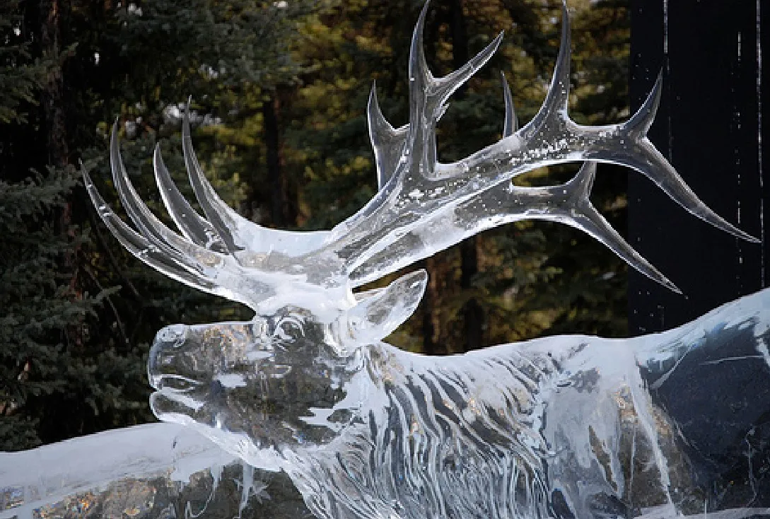 Ледяной лось в натуральную величину. 