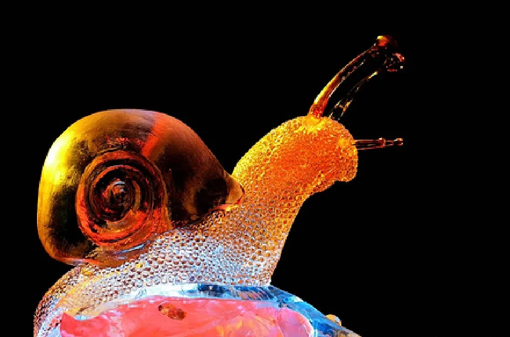 Великолепная ледяная улитка.