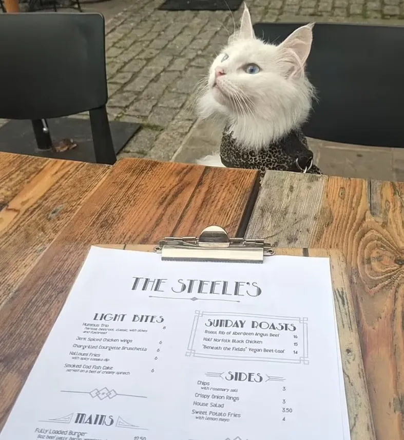 Сигрид в пабе.