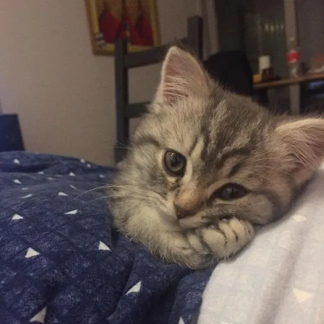 «Человек, ты у меня такой красивый».