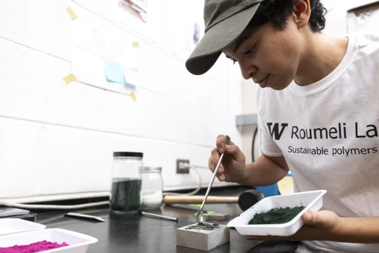 Водорослевый порошок, из которого затем получится пластик.