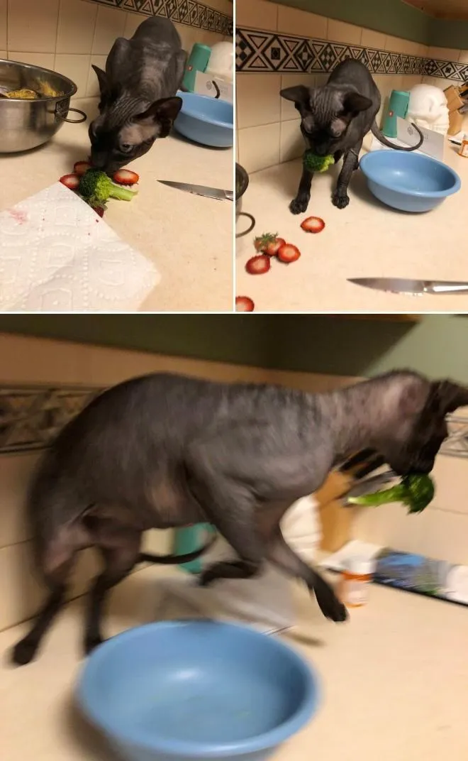 Стащил прямо из под носа. 