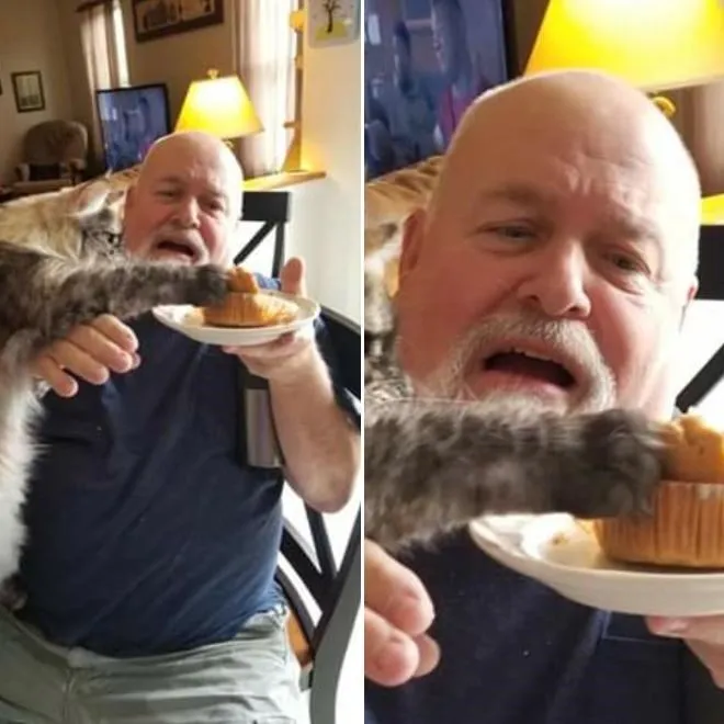 Надо было делиться едой. 