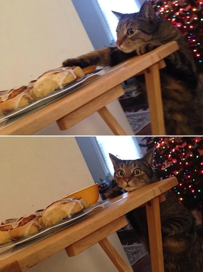 Вас поймали.