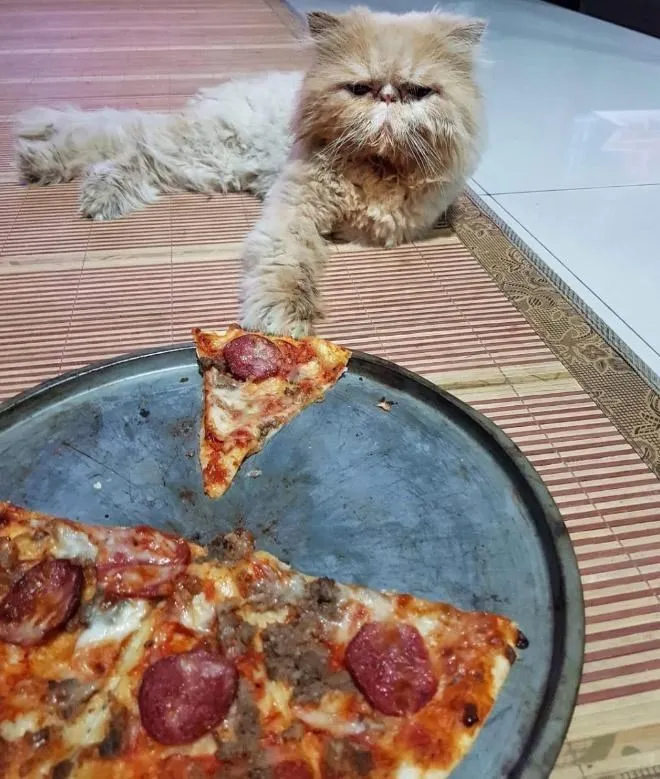 Самый грустный воришка.