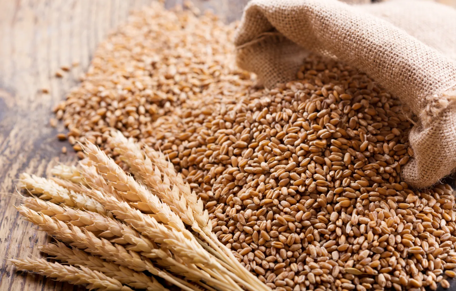 Вводимая Россией допквота на экспорт зерновых будет действовать до 30 июня