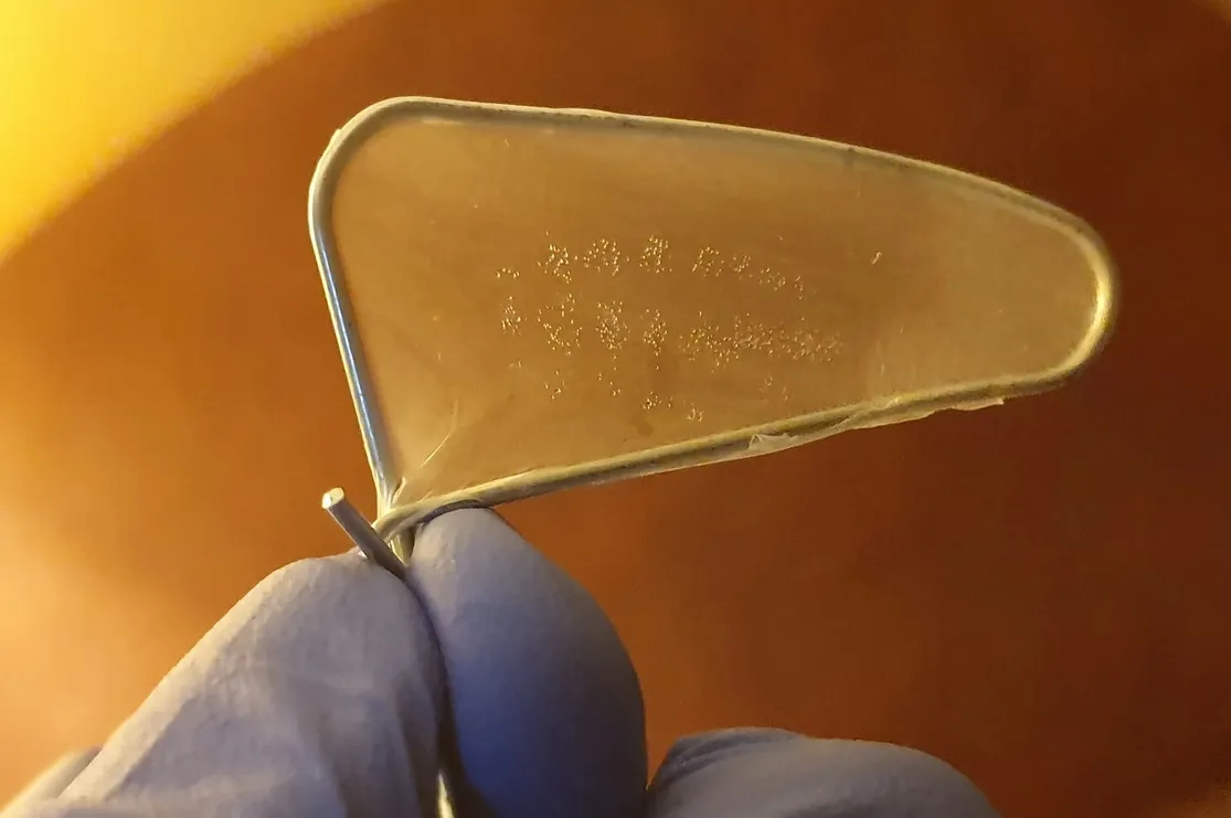 Если надавить на щетинку гусеницы, выделяется яд.