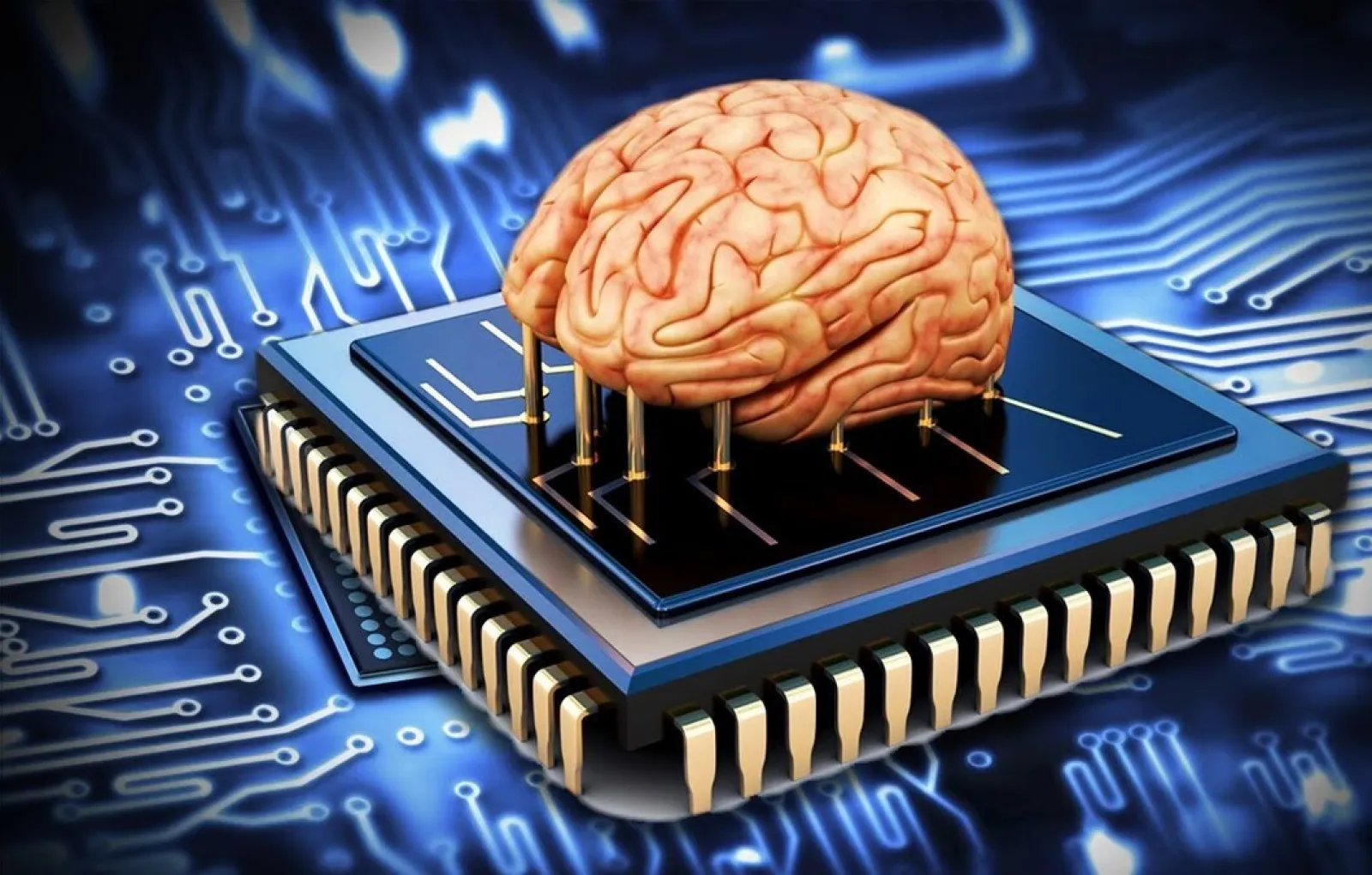 Интеллектуальные компьютеры. Мозг компьютера. Мозг процессор. Нейронные процессоры. Электронный мозг.
