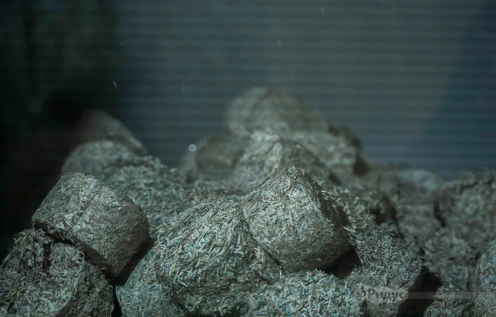 Брикеты - конечный продукт переработки ветхих банкнот.