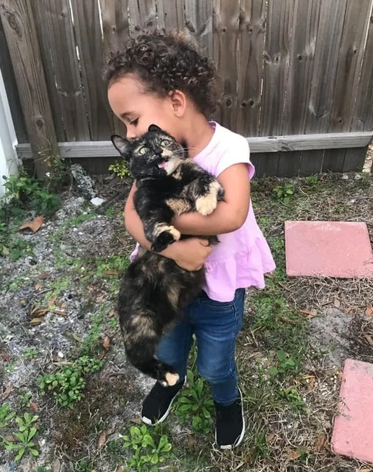 В глубине души кошки любят обниматься с детьми, просто не показывают этого.