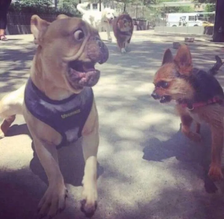 «А-а-а-а, ты пугаешь меня».