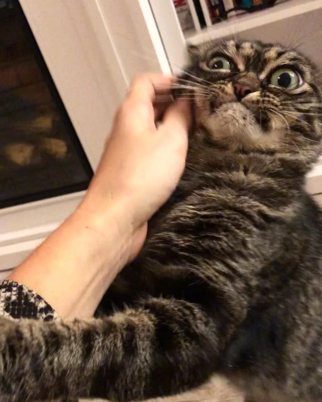 «Ты же руки не мыла!»