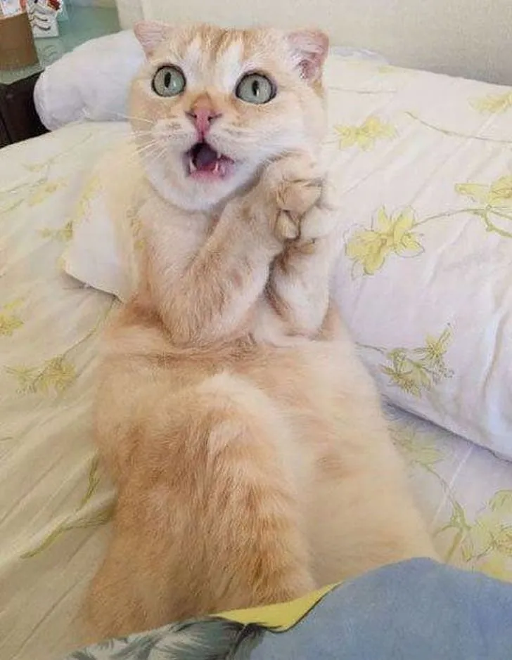 «Ничего себе!»