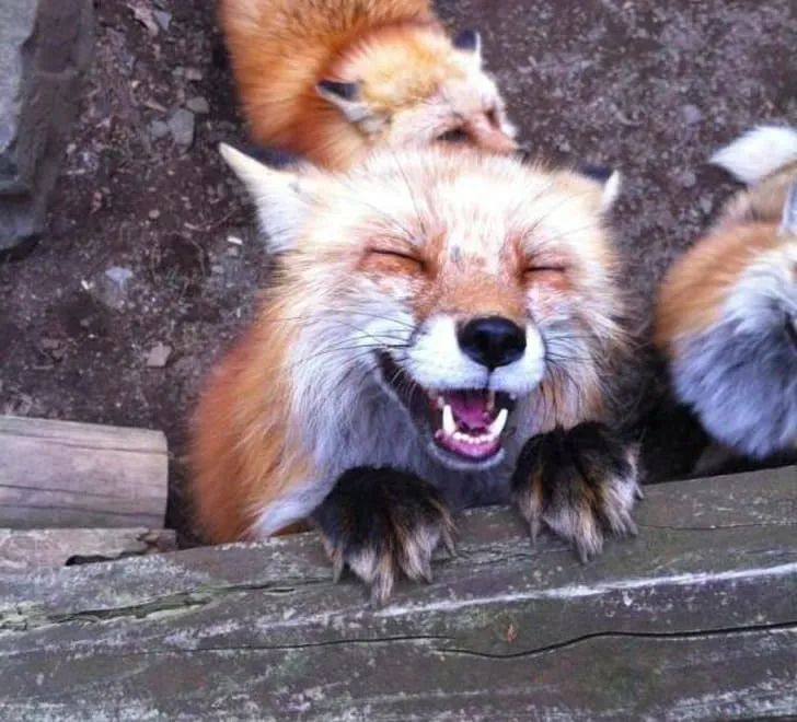 Кажется, она счастлива.