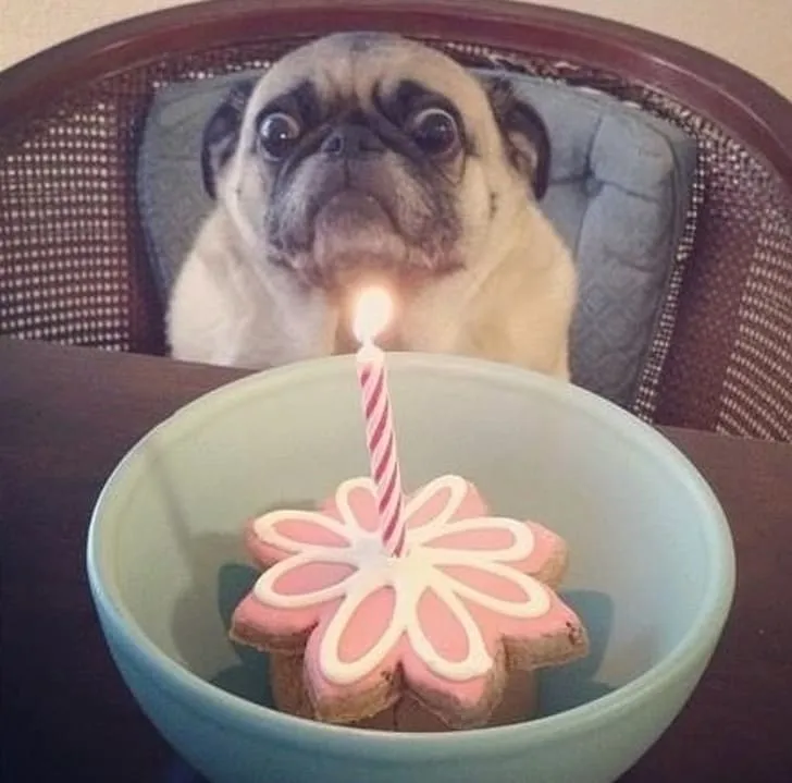 «Как мне есть торт с этой жуткой горящей штукой?»