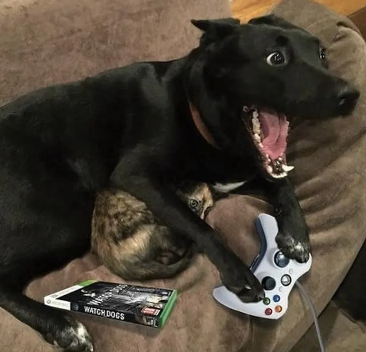 Он явно в восторге от видеоигры.