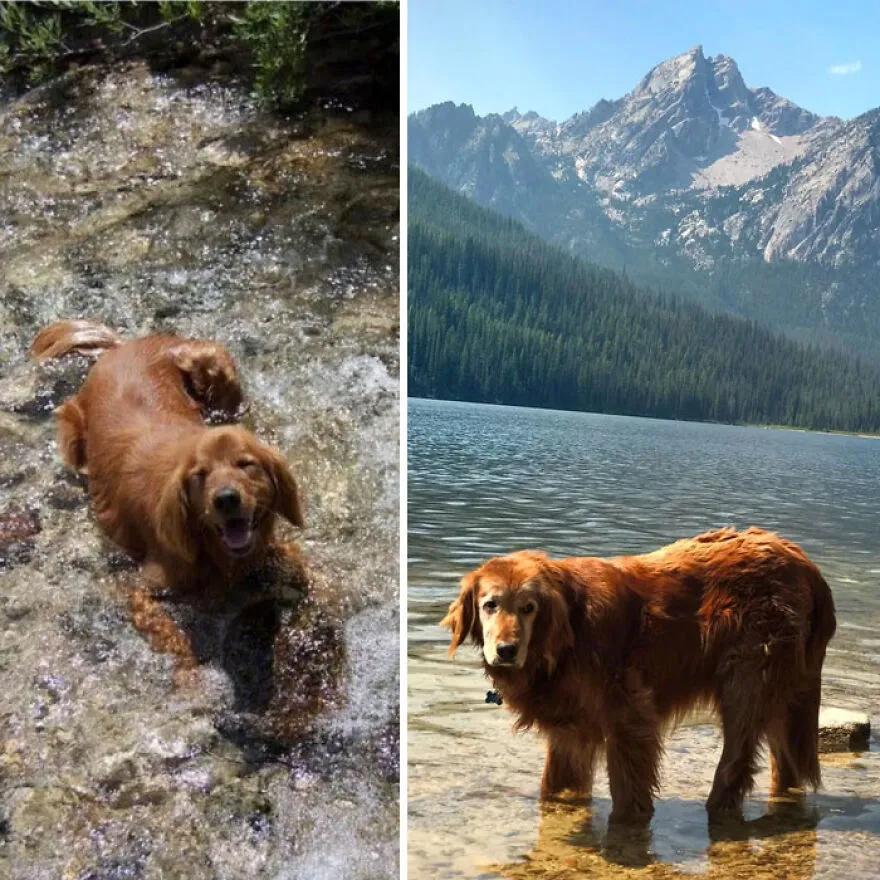 «Первый (слева) и, скорее всего, последний (справа) поход моего лучшего друга. Он все еще жив. Просто слишком стар для приключений».