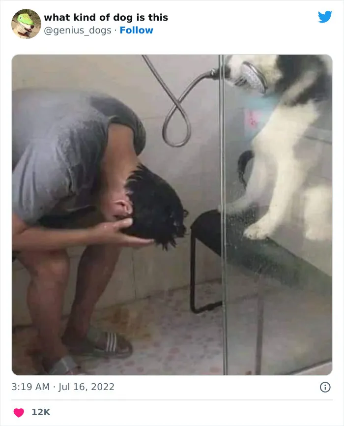 Папин помощник.