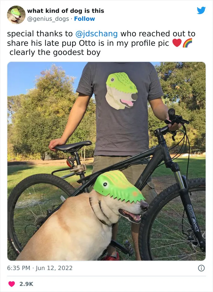 Увековечил.