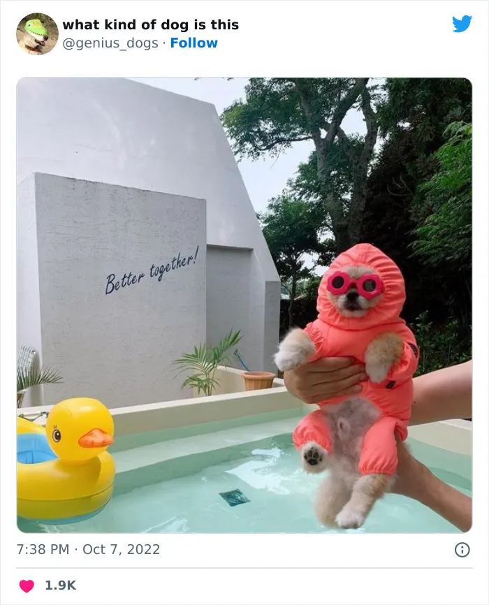 Готов к водным процедурам.