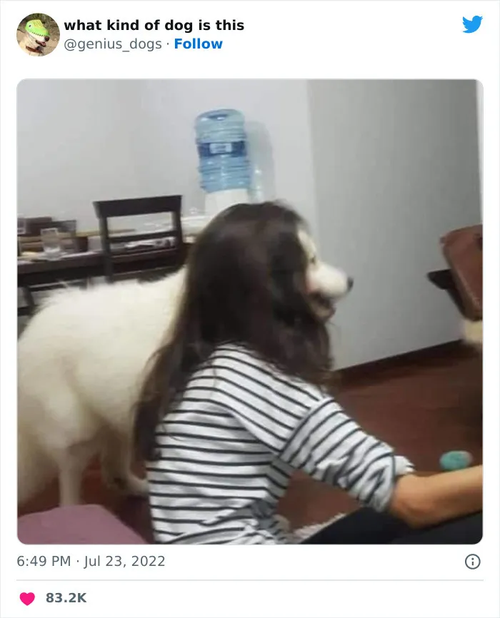 Идеальное совпадение.