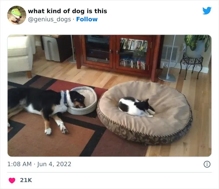 Почти справедливо.