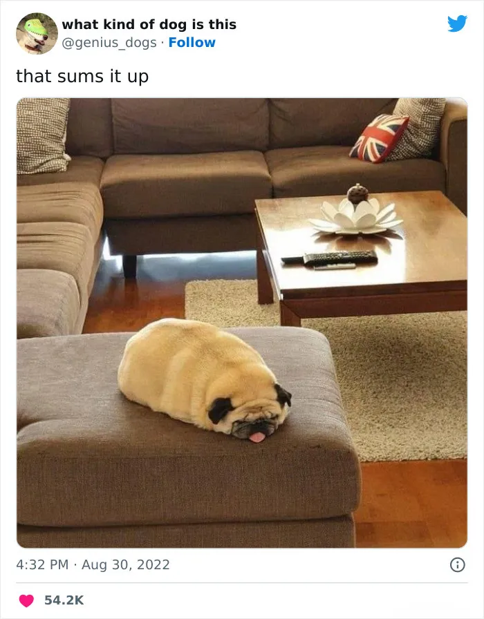 Батон мопса.