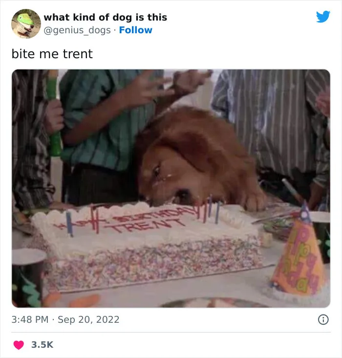 О торте можно забыть.