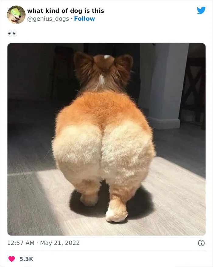 Меховая булочная.