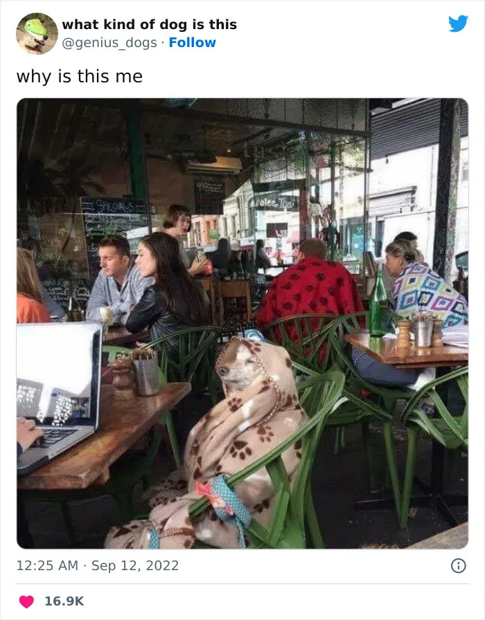 Зима близко.