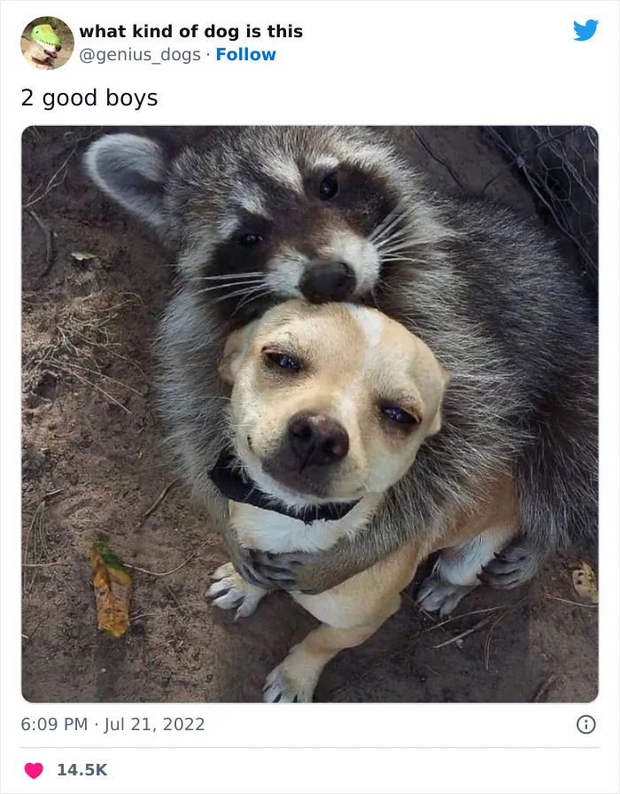 Два хороших мальчика.