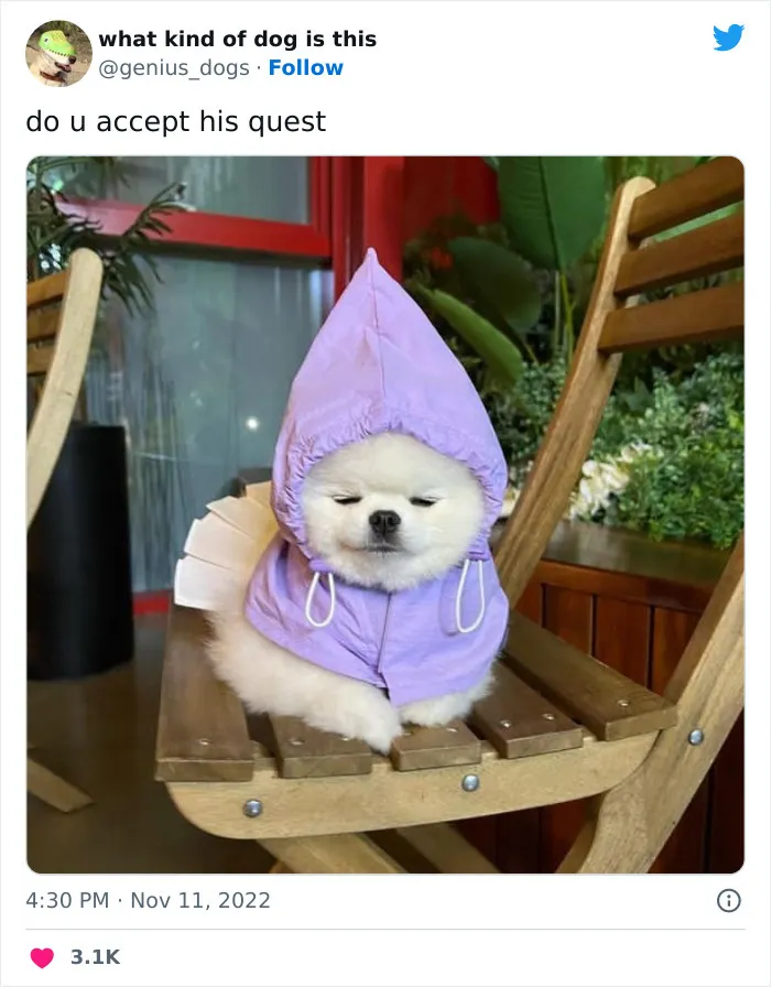 Милый гномик.