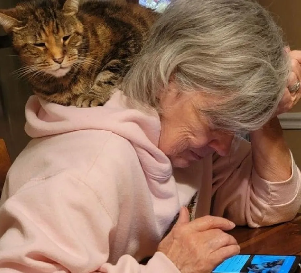 «Иногда бабушка даже забывает, что на ней сидит кот».