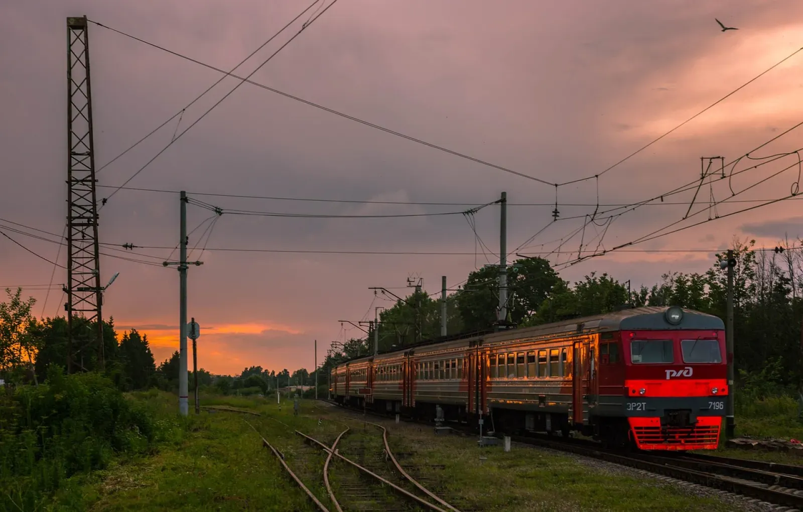 Кабмину поручено сократить время в пути на поезде от Москвы до курортов