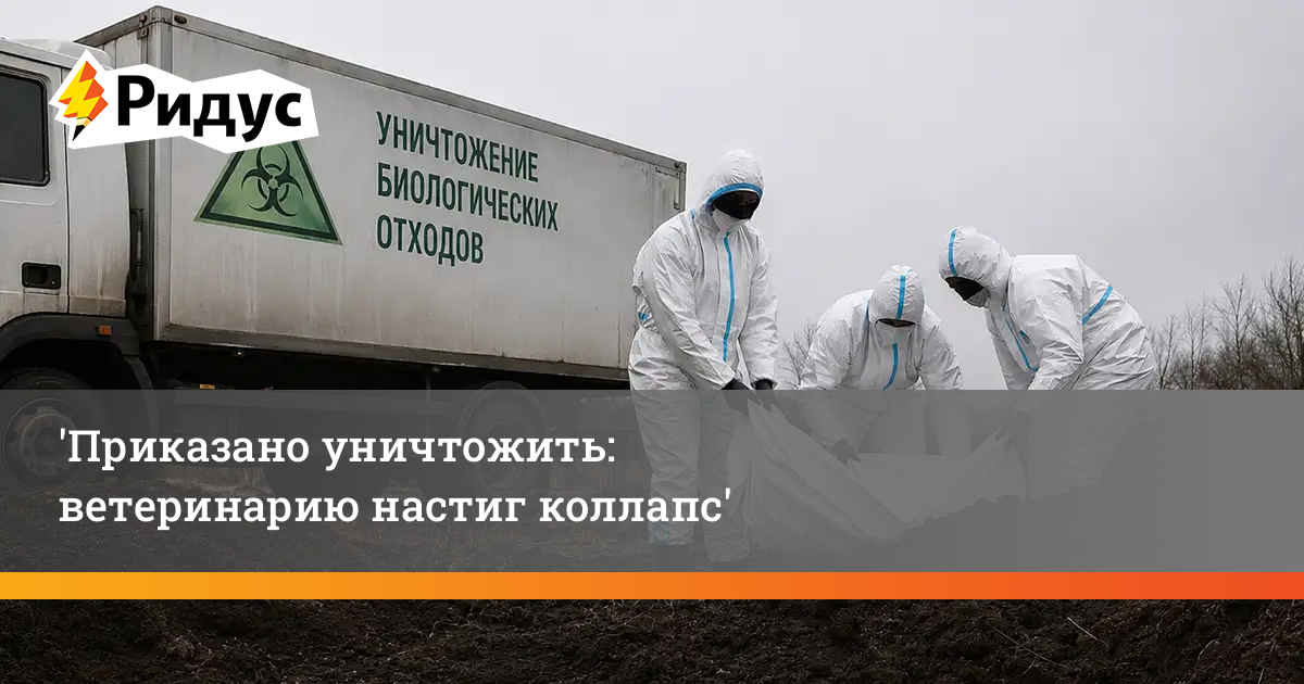 Приказано уничтожить: ветеринарию настиг коллапс