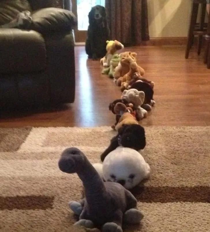 «Простите, а когда откроют вторую кассу?»