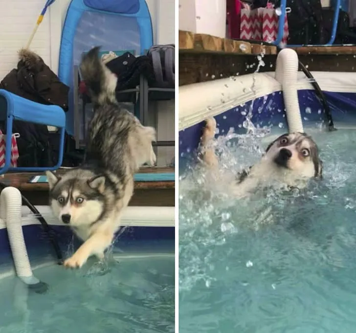 Сначала купание в бассейне казалось ему забавным, но потом пришло осознание.