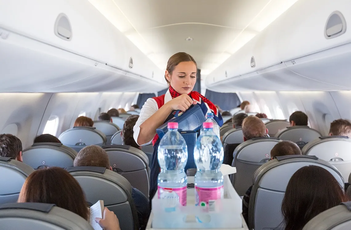 Чтобы подчеркнуть экологичность самолёта, в полёте пассажирам также будут подавать растительное питание.