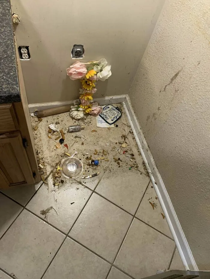 «Вот что некоторые арендаторы могут сделать всего за год».