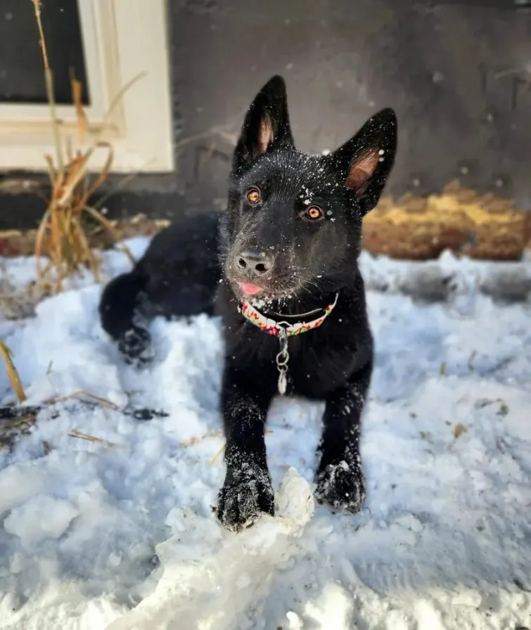 «Мам, эта холодная штука такая классная».
