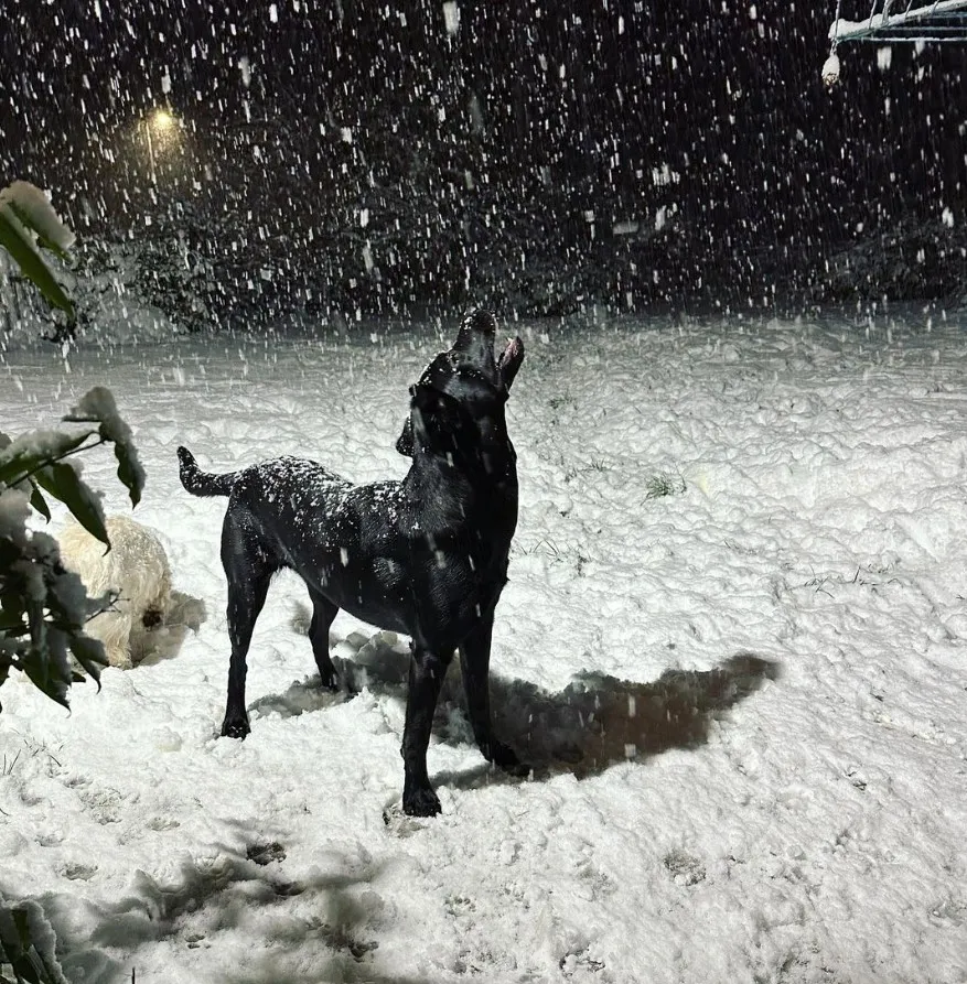 «Красота-то какая».