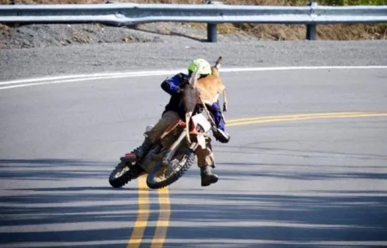 Неожиданная встреча.