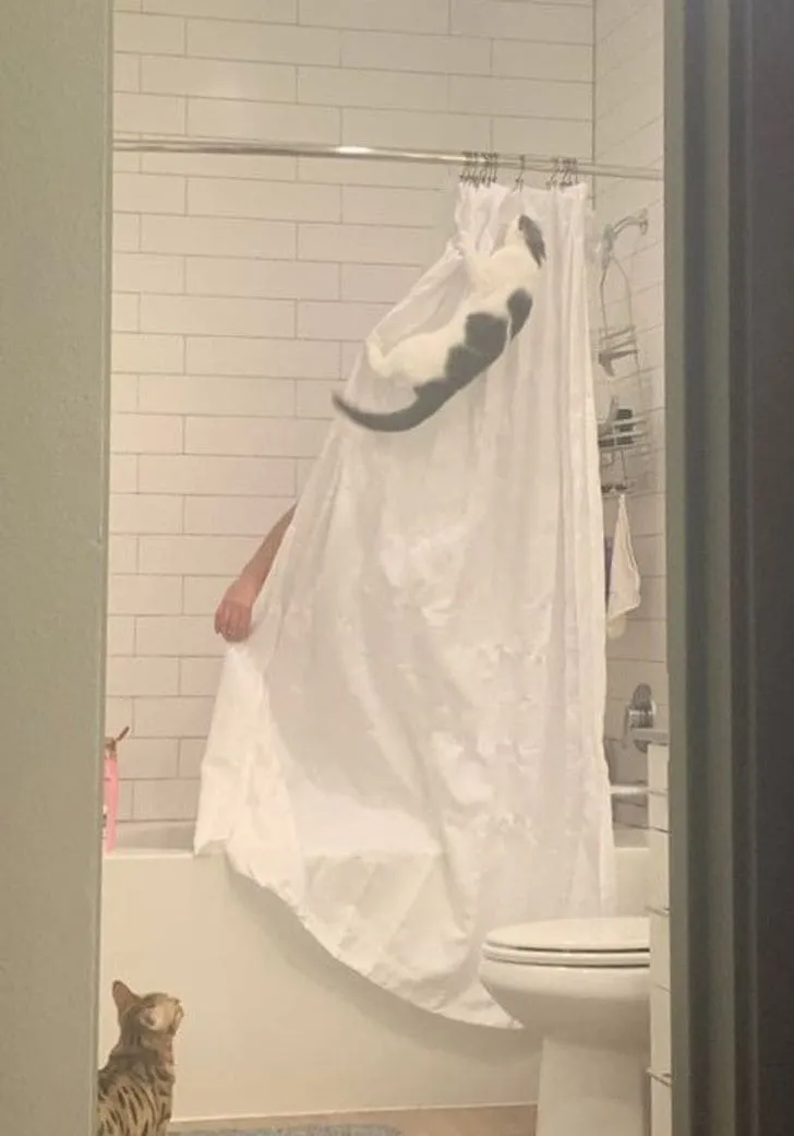 «Человек, что ты там делаешь? Я спешу тебя спасать».