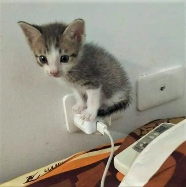 «Да, мне здесь удобно».