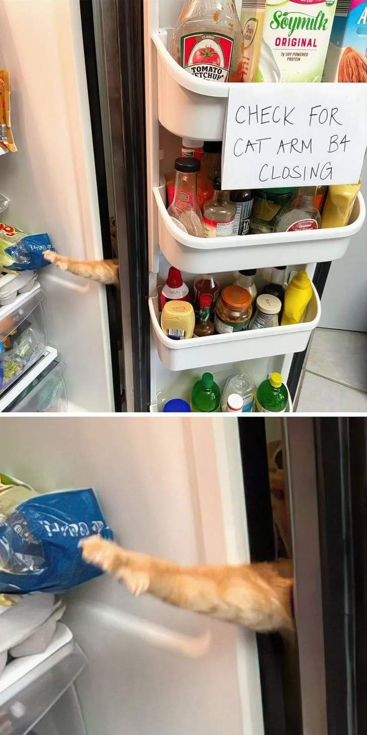 Лапкой эть.