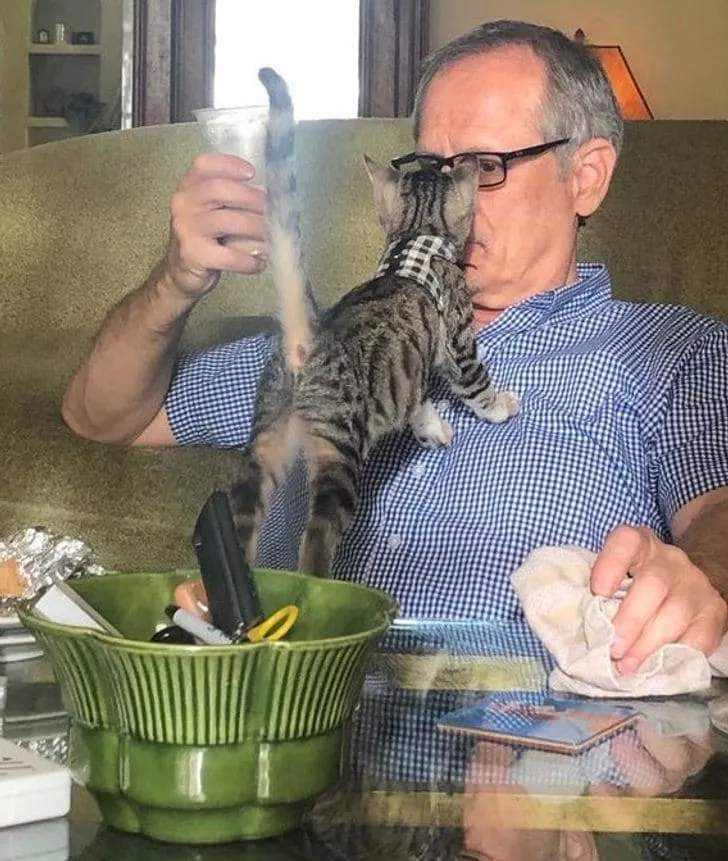 «Что это у тебя в стакане?»