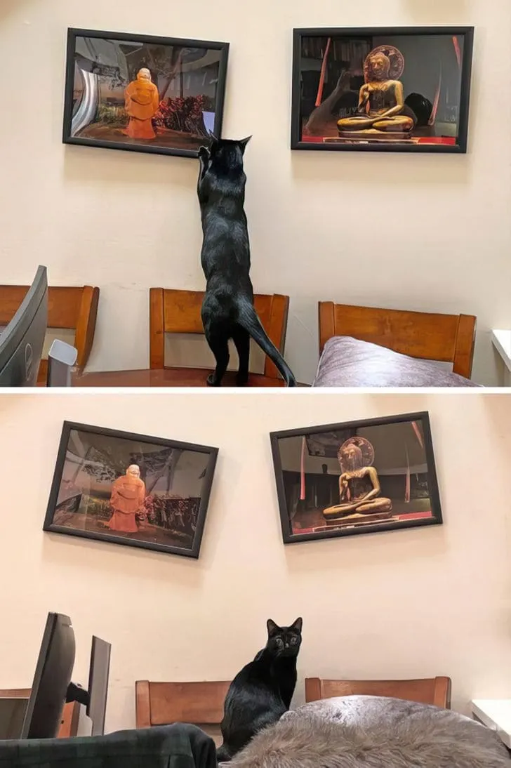 «Виси прямо, говорю».