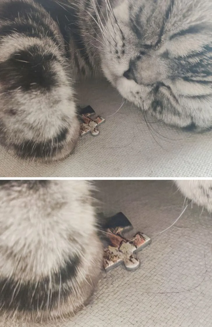 «Он крепко уснул, зная, что теперь его люди будут мучиться в поисках последнего кусочка пазла».