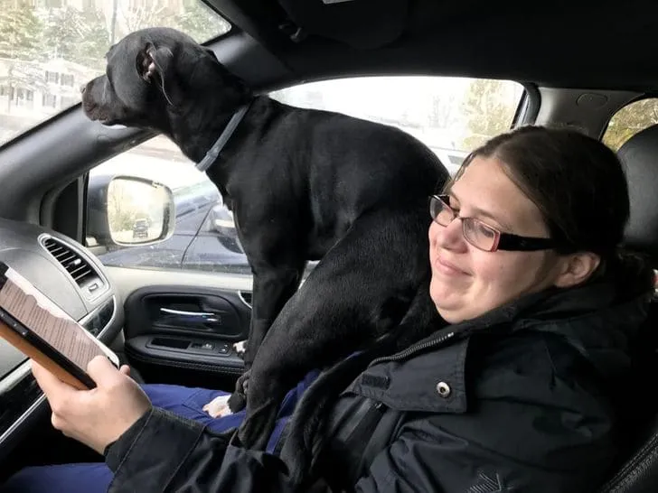 Лучший штурман.